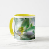Tasse de magnolia (Devant gauche)