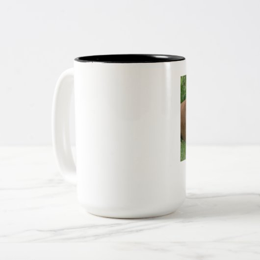 Tasse de Malinois de Belge (Devant gauche)