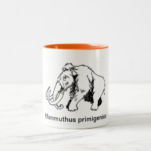 Tasse de mammouth laineux (nom scientifique)