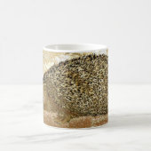 tasse de mangouste (Centre)