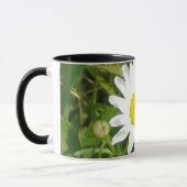 Tasse de marguerite (Gauche)