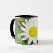 Tasse de marguerite (Devant gauche)