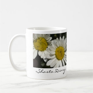 Tasse de marguerites de Shasta