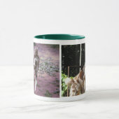 Tasse de Marley (Centre)