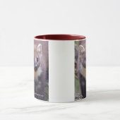 Tasse de Marty (Centre)