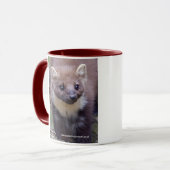 Tasse de Marty (Devant gauche)