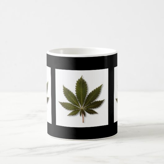 TASSE DE MARY (Centre)