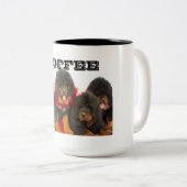 Tasse de mastiff tibétain (Devant droit)