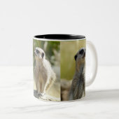 Tasse de Meerkat (Devant droit)