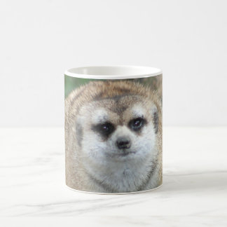 Tasse de Meerkat