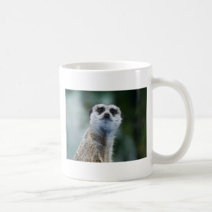 Tasse de Meerkat