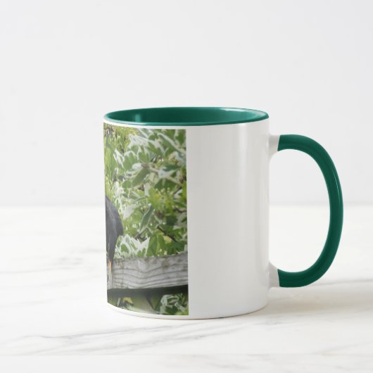 Tasse de merle (Droite)