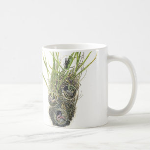 Tasse de Microhabitat