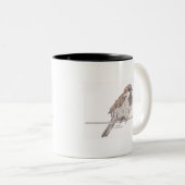 Tasse de moineau (Devant droit)
