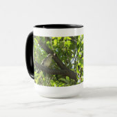 Tasse de moqueur (Devant gauche)