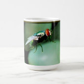 Tasse de mouche de Chambre (Centre)