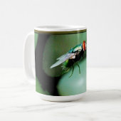 Tasse de mouche de Chambre (Devant gauche)