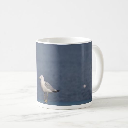 Tasse de mouette (Devant droit)