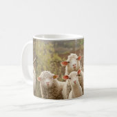 TASSE DE MOUTONS (Devant gauche)