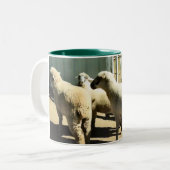 Tasse de moutons (Devant gauche)