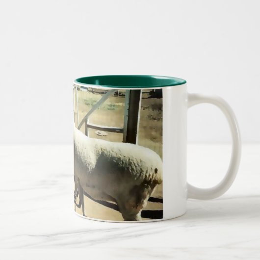 Tasse de moutons (Droit)