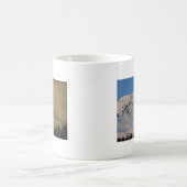 Tasse de Mt. Shasta (Centre)