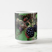 Tasse de mûres (Centre)