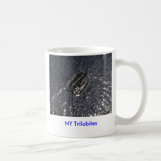 Tasse de NY Trilobites (Droite)