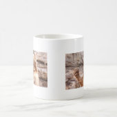 Tasse de ondulation d'ours (Centre)