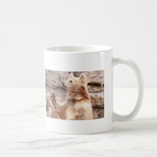 Tasse de ondulation d'ours (Droite)