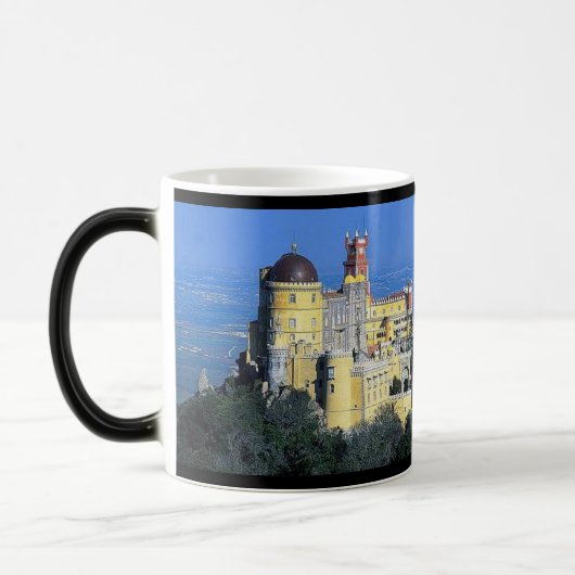 Tasse de Palacio DA Pena* Sintra Portugal (Gauche)