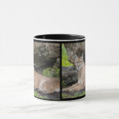 Tasse de panthère de la Floride (Centre)