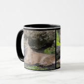 Tasse de panthère de la Floride (Devant gauche)