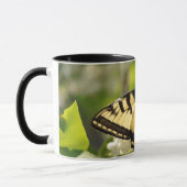 Tasse de papillon (Gauche)