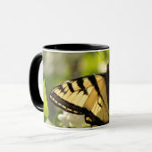 Tasse de papillon (Devant gauche)