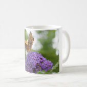Tasse de papillon (Devant droit)