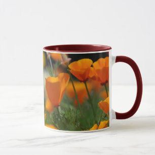 Tasse de pavot de Californie