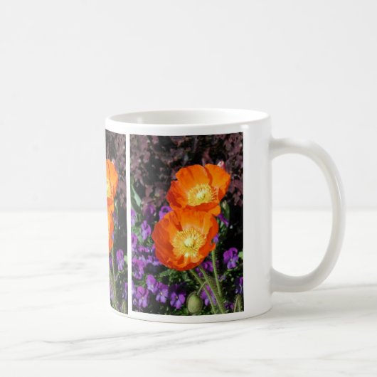 Tasse de pavot d'Icelanidc (Droite)