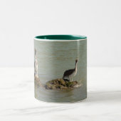 Tasse de pélican (Centre)