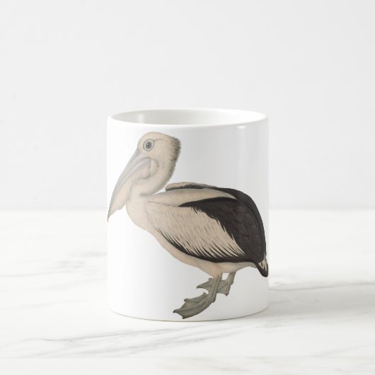 Tasse de pélican de John Gould (Centre)