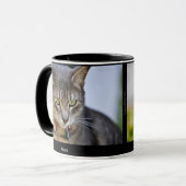 Tasse de Pepin et de Louis (Devant gauche)