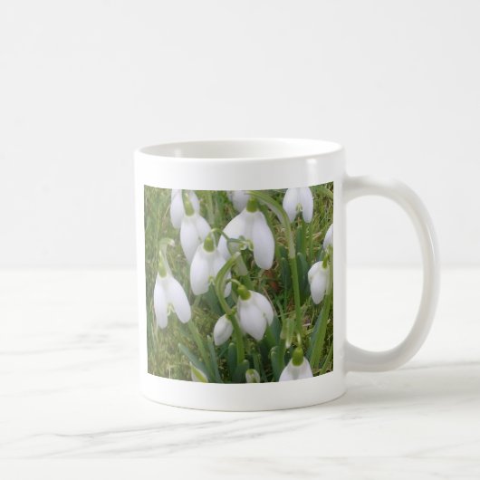 Tasse de perce-neiges (Droite)