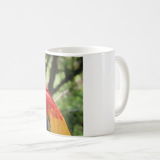 Tasse de perroquet (Devant droit)