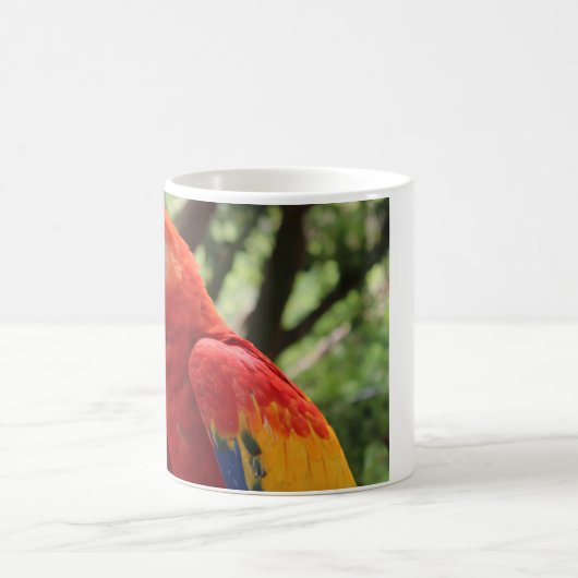Tasse de perroquet (Centre)