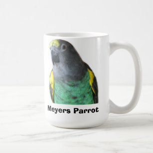 Tasse de perroquet de Meyers