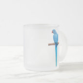 Tasse de perruche de Ringneck d'Indien (Devant droit)