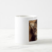tasse de pet de chat (Centre)