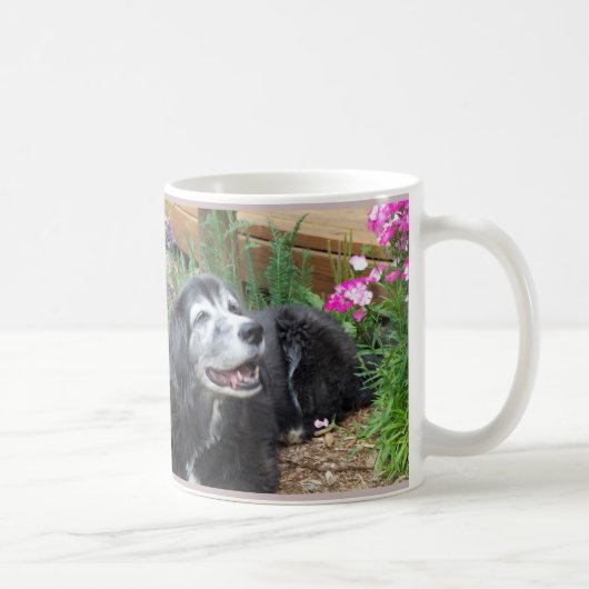 Tasse de petit pain de cocker (Droite)