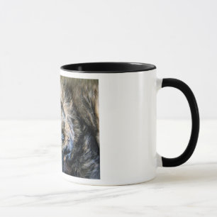 Tasse de petit somme de chat