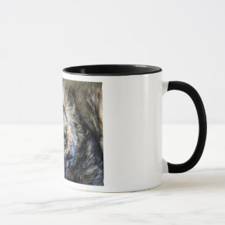 Tasse de petit somme de chat